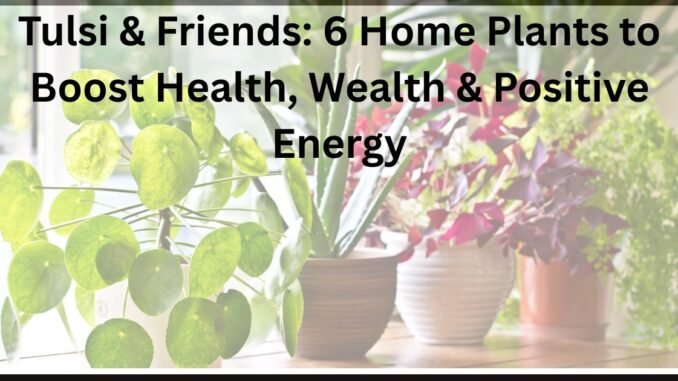 Tulsi & Friends: 6 Home Plants to Boost Health, Wealth & Positive Energy Tulsi & Friends: 6 Home Plants to Boost Health, Wealth & Positive Energy