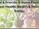 Tulsi & Friends: 6 Home Plants to Boost Health, Wealth & Positive Energy